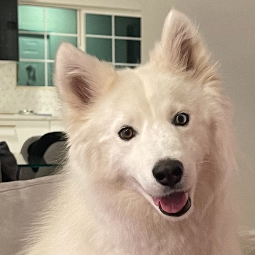 Meet your Posher, Nikki